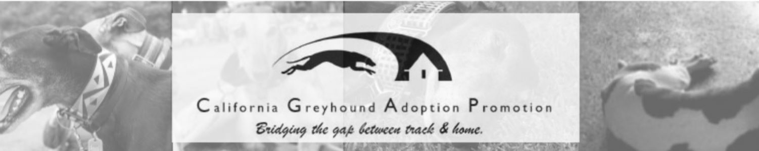 CalGAP – California Greyhound Adoption Promotion
